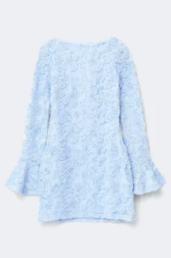 Embroidery mini dress